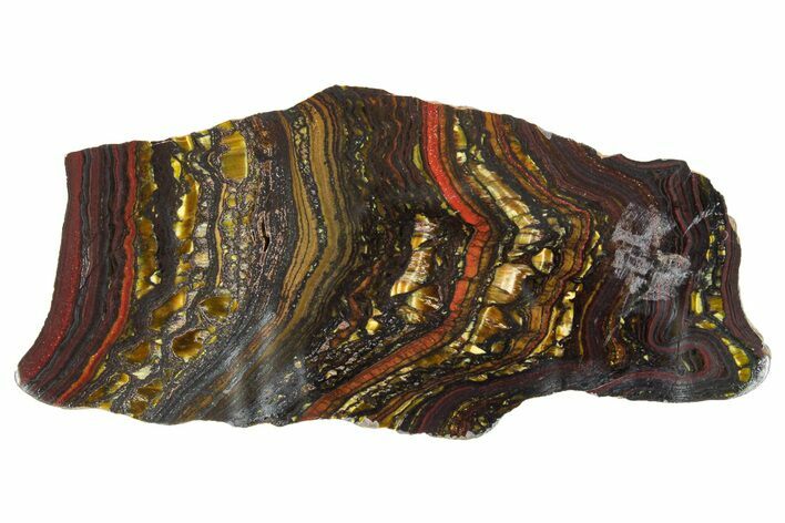 Polished Tiger Iron Stromatolite Slab - Billion Years #351815